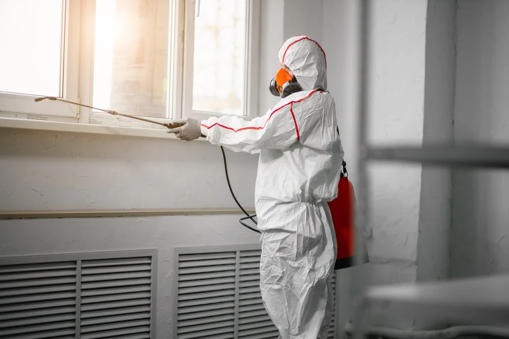 Professional mold remediation services in Allendale, NJ